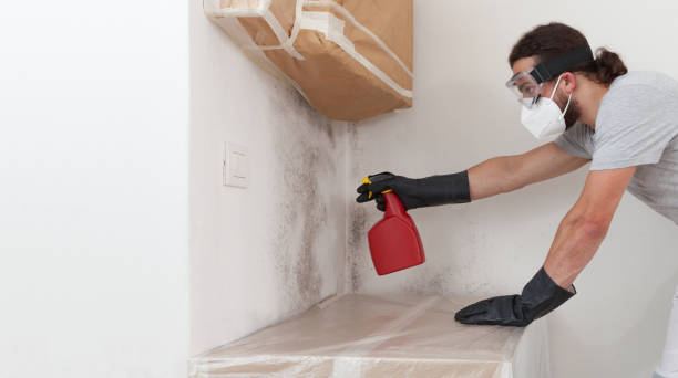 Professional Basement Mold Remediation technician working in Hawthorne, NY